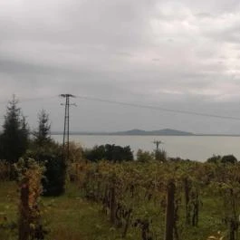 Folly Arborétum, Badacsonyörs - Egyéb