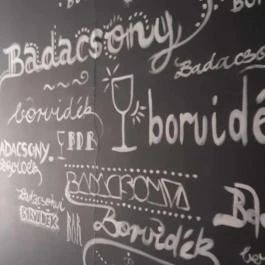 Hotel Bonvino Wine & Spa, Badacsony - Egyéb