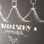 Hotel Bonvino Wine & Spa Badacsony - Egyéb