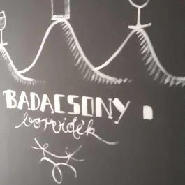 Hotel Bonvino Wine & Spa, Badacsony - Egyéb