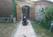 Koronás Vad Étterem Vágáshuta