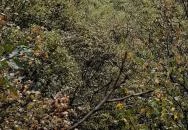 Vitorlázórepülő-emlékmű Budaörs