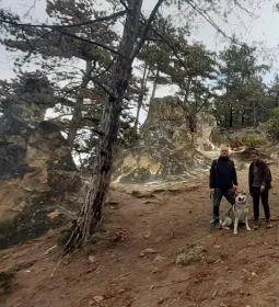 Vitorlázórepülő-emlékmű