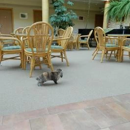 Zichy Park Hotel, Bikács - Külső kép