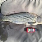 Zichy Park Hotel Bikács - Egyéb