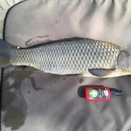 Zichy Park Hotel, Bikács - Egyéb