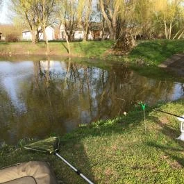 Zichy Park Hotel, Bikács - Medence/kert