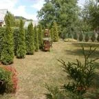 Ferencz Vendégház Bélapátfalva - Medence/kert