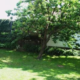 Főnix Vendégház , Bakonybél - Medence/kert