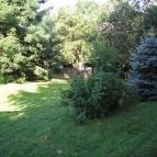 Főnix Vendégház Bakonybél - Medence/kert