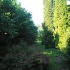 Hotel Panoráma Sopron - Medence/kert