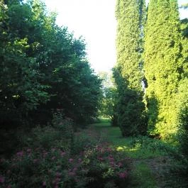 Hotel Panoráma, Sopron - Medence/kert