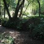 Őrszem Fogadó Szalafő - Környék