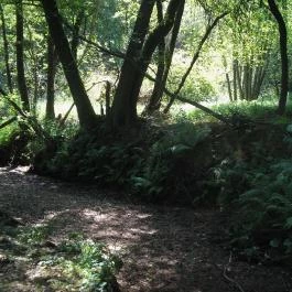 Őrszem Fogadó, Szalafő - Környék