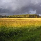 Őrszem Fogadó Szalafő - Környék