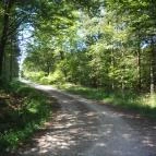 Őrszem Fogadó Szalafő - Környék