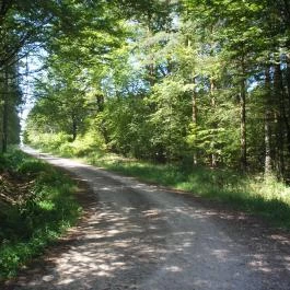 Őrszem Fogadó, Szalafő - Környék