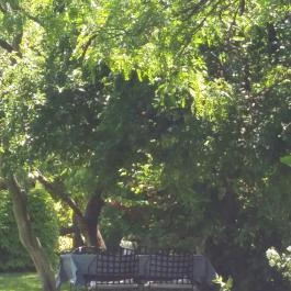 Káli Art Inn Hotel, Köveskál - Medence/kert