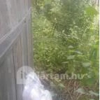 Kemencés Vendégház Szokolya - Környék