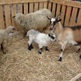 Hotel Karos Spa, Zalakaros - Környék