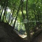 Hotel Vital Zalakaros - Környék