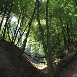 Hotel Vital Zalakaros - Környék