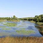 Hotel Vital Zalakaros - Környék