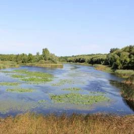 Hotel Vital Zalakaros - Környék