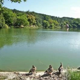 Ambient Hotel & ThermalSPA****, Sikonda - Környék