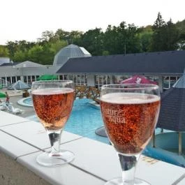 Ambient Hotel & ThermalSPA****, Sikonda - Medence/kert