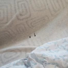 Boni Családi Wellness Hotel, Zalakaros - Egyéb