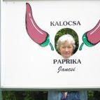 Asztrik Panzió Kalocsa - Egyéb