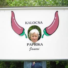 Asztrik Panzió, Kalocsa - Egyéb