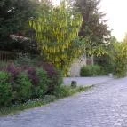 Kerekhegy Vendégház Leányfalu - Környék