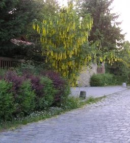 Kerekhegy Vendégház