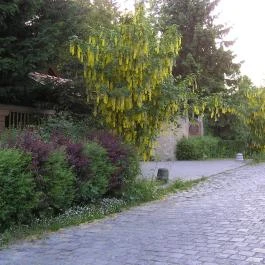 Kerekhegy Vendégház, Leányfalu - Környék