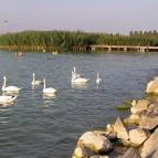 Hotel Melis, Balatonlelle Balatonlelle - Környék