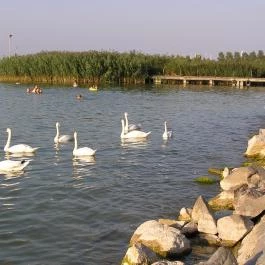 Hotel Melis, Balatonlelle, Balatonlelle - Környék