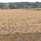 Sokoró Fogadó Sokorópátka - Környék