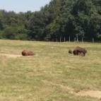 Őrségi Népi Műemlékegyüttes - Szalafő-Pityerszer Szalafő - Pityerszer - Egyéb