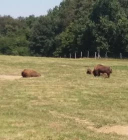 Őrségi Népi Műemlékegyüttes - Szalafő-Pityerszer
