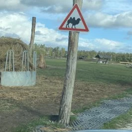 Richter Safari Park Nagykőrös - Egyéb
