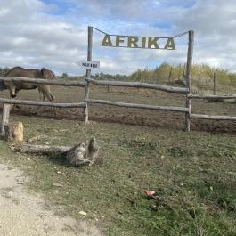 Richter Safari Park Nagykőrös - Egyéb