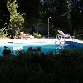 Misefa Kastély Misefa - Medence/kert