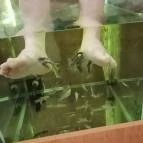 Hotel Atlantis Wellness & Conference Hajdúszoboszló - Wellness