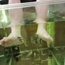 Hotel Atlantis Wellness & Conference, Hajdúszoboszló - Wellness