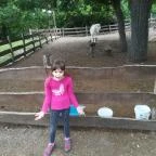 Vaskapu Étterem Esztergom - Egyéb