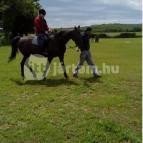 Venus Hotel Zalakaros - Szórakozás/Sport