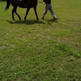 Venus Hotel Zalakaros - Szórakozás/Sport