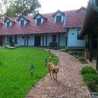 Kosbor Panzió Magyarszombatfa - Külső kép